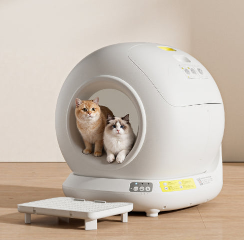 Chats devant la litière fermée Premium Dôme