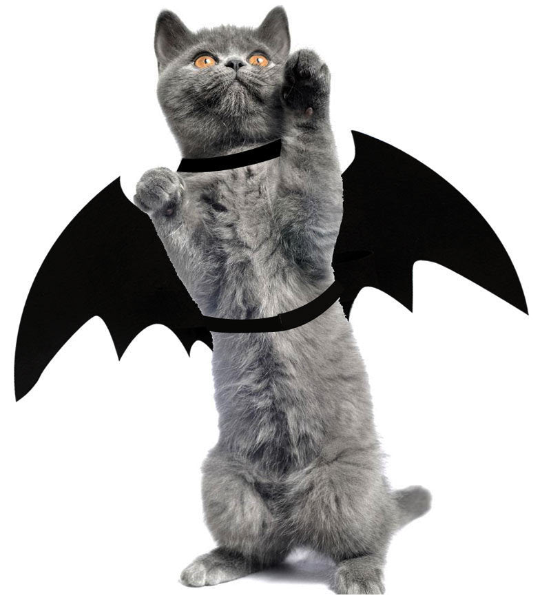 Chat gris avec ailes de chauve-souris en feutre
