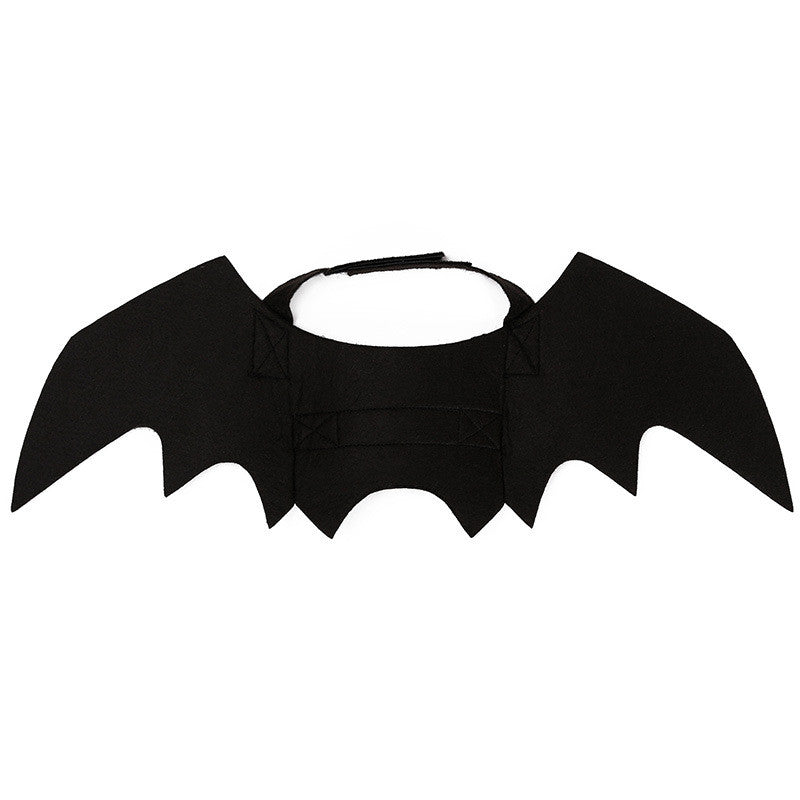 Ailes de chauve-souris réglables pour chat