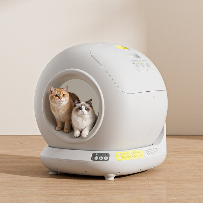 Deux chats dans la litière autonettoyante Premium Dôme beige