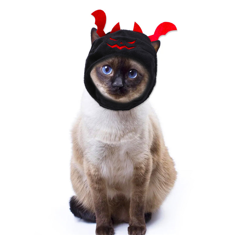 Chat siamois avec le bonnet diablotin noir et rouge