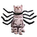 Costume araignée noir pour chat