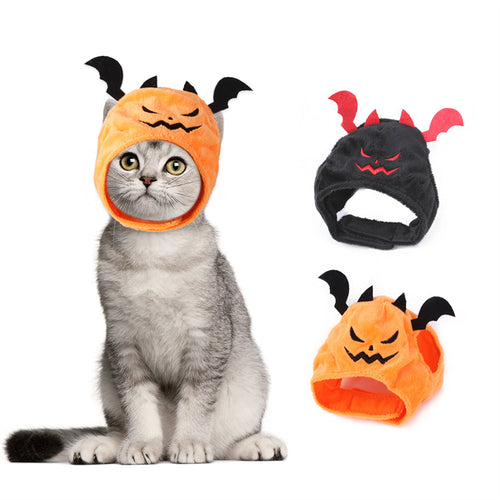 Chat portant le chapeau citrouille d'Halloween