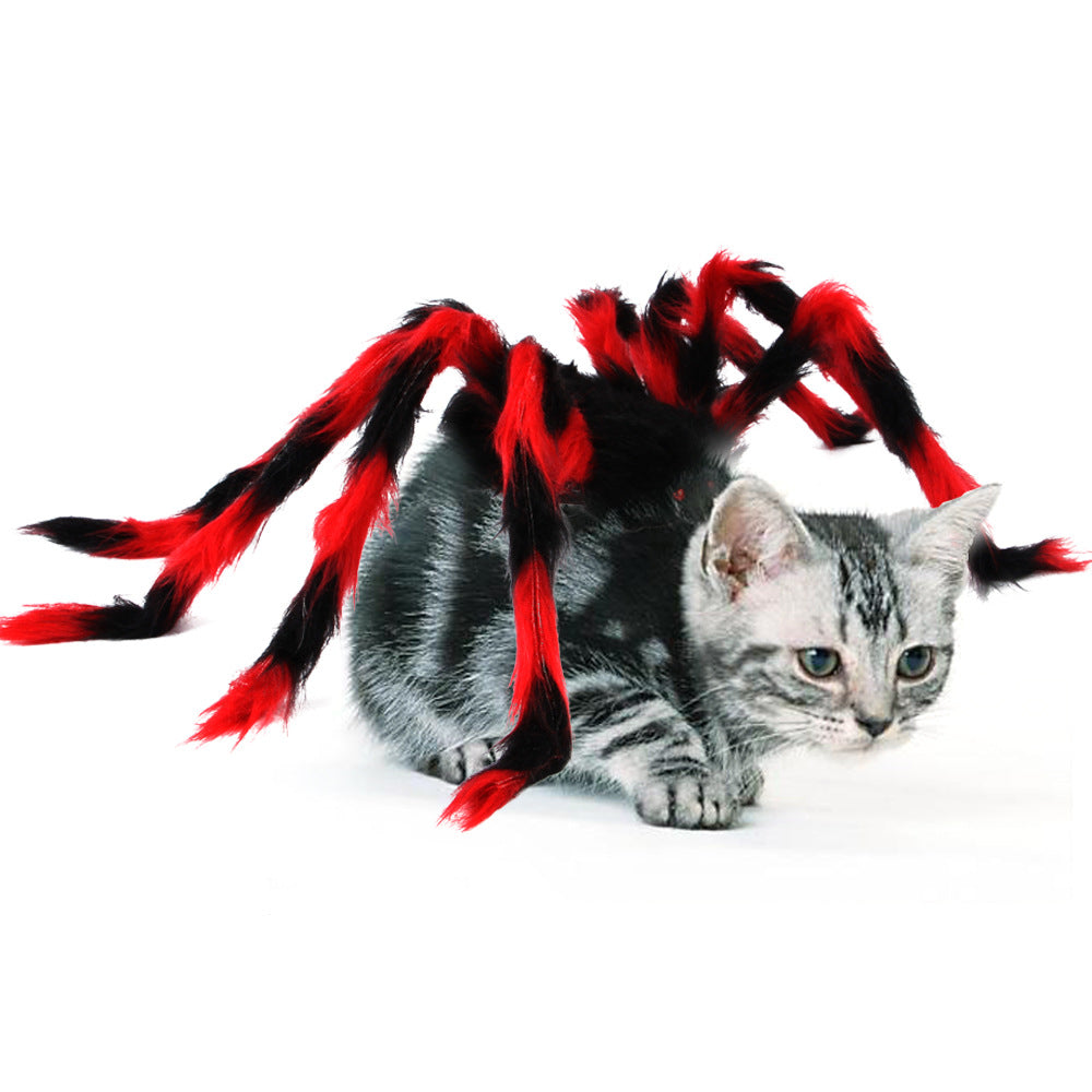 Chaton avec costume araignée noir et rouge