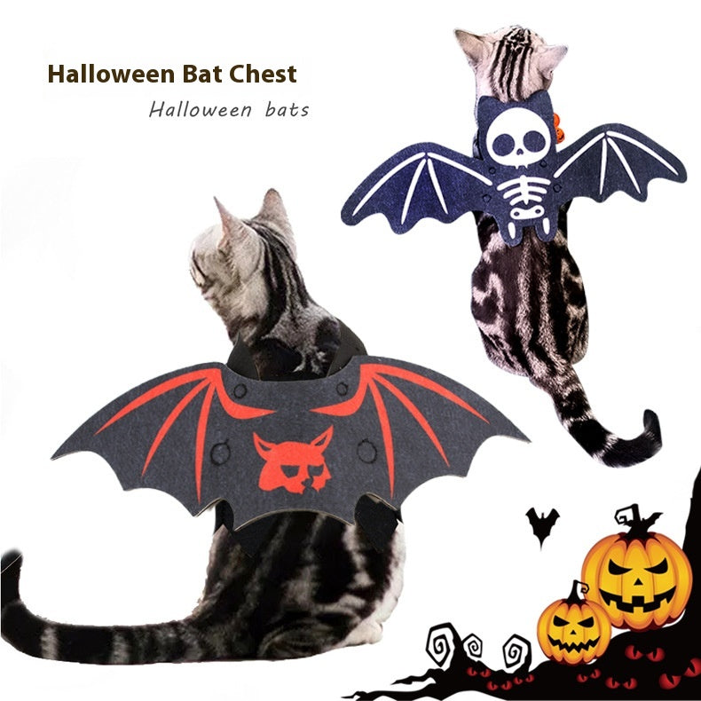 Chats déguisés avec la cape chauve-souris d'Halloween