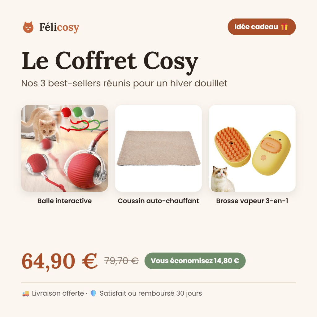 Le Coffret Cosy Félicosy : balle interactive, coussin auto-chauffant et brosse vapeur pour chat, 64,90 €