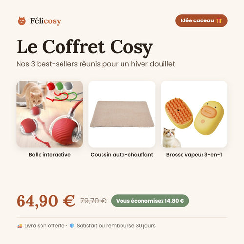 Le Coffret Cosy Félicosy : balle interactive, coussin auto-chauffant et brosse vapeur pour chat, 64,90 €