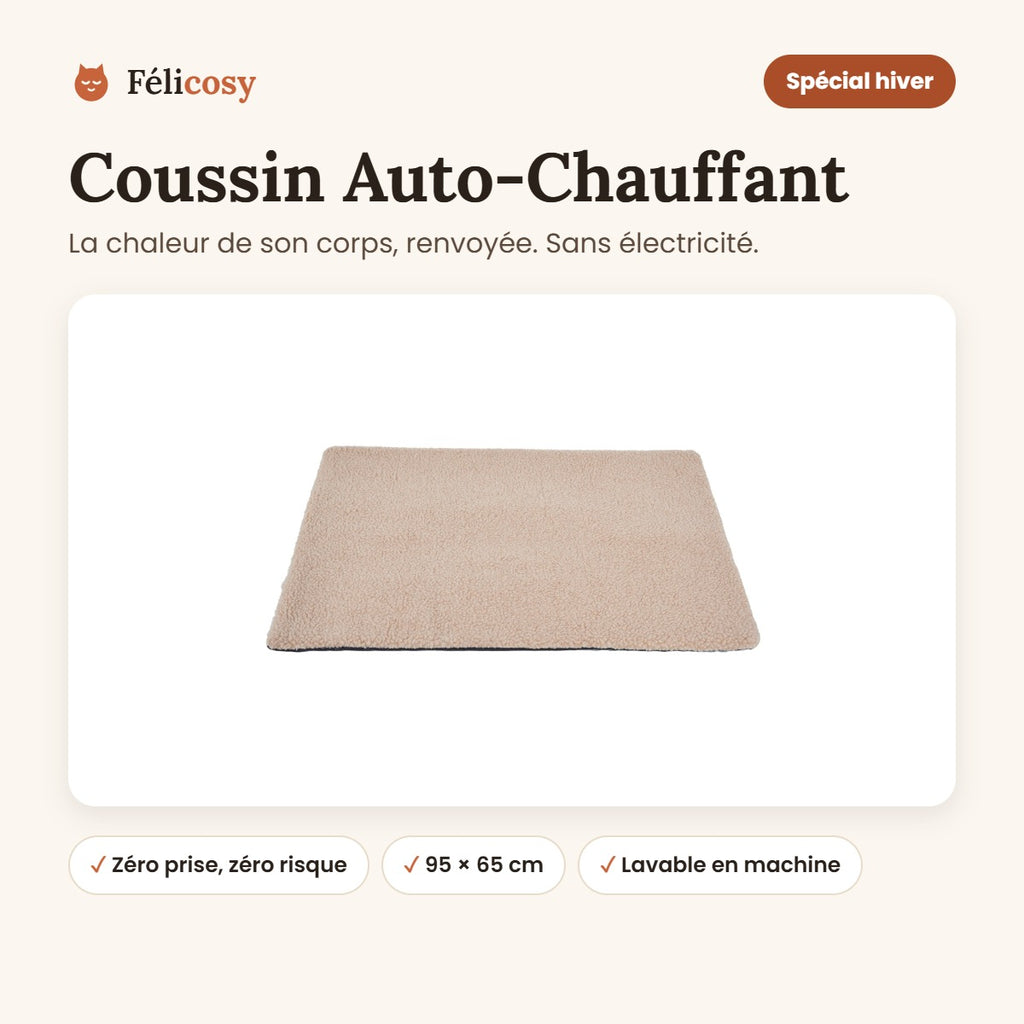 Coussin auto-chauffant pour chat sans électricité, 95 × 65 cm, Félicosy
